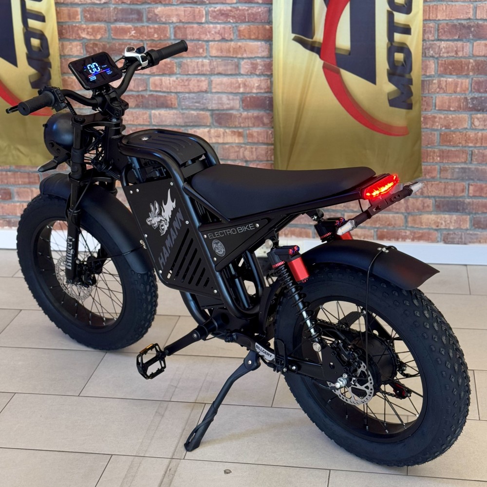 Електрофетбайк Billgery Hamman HM-99070 двигун 1000W (57 км/год) 48V/18Ah Lithium, 20" LCD дисплей, Shimano 7 швидкостей, Гідравлічні Гальма