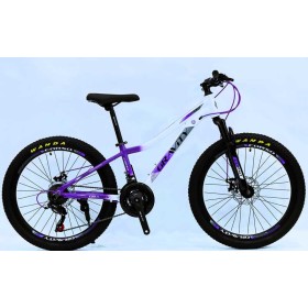 Велосипед спортивний Corso GRAVITY GR-24634 24", алюмінієва рама 12", 21 швидкість, Shimano, дискові гальма