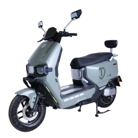Електричний мопед Tailg F-55/C01 двигун 2000W