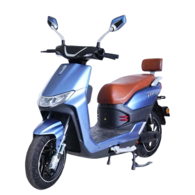 Електричний мопед Tailg T70/A20 двигун 2000W