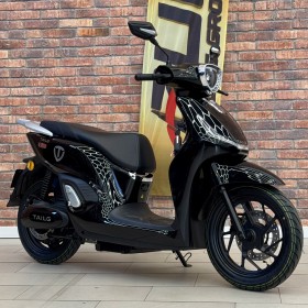 Електричний мопед Tailg T-61/GR-302 2500W