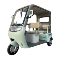 Електричний трицикл Corso «Minibus» NB-608011 двигун 1500W