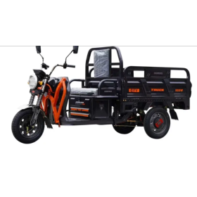 Електричний вантажний трицикл Corso «Truck CITY» CT-673092 800W
