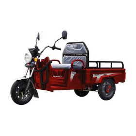 Електричний вантажний трицикл Corso «Truck One» TR-300047 800W