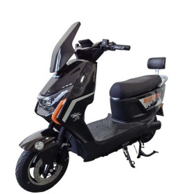 Електричний мопед Billgery Boston BT-080941 2000W