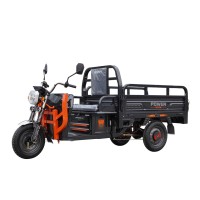 Електричний вантажний трицикл Billgery «Power» PW-517809 1000W
