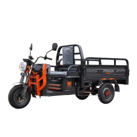 Електричний вантажний трицикл Billgery «Power» PW-517809 1000W