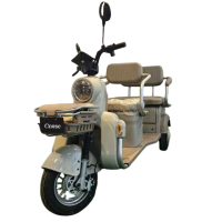 Електричний трицикл Corso «Tenso» TG-375458 1500W