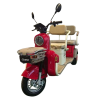 Електричний трицикл Corso «Tenso» TG-707841 1500W