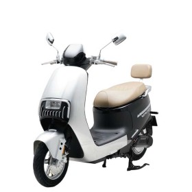 Електричний мопед Garow Vento LE-319046 1200W