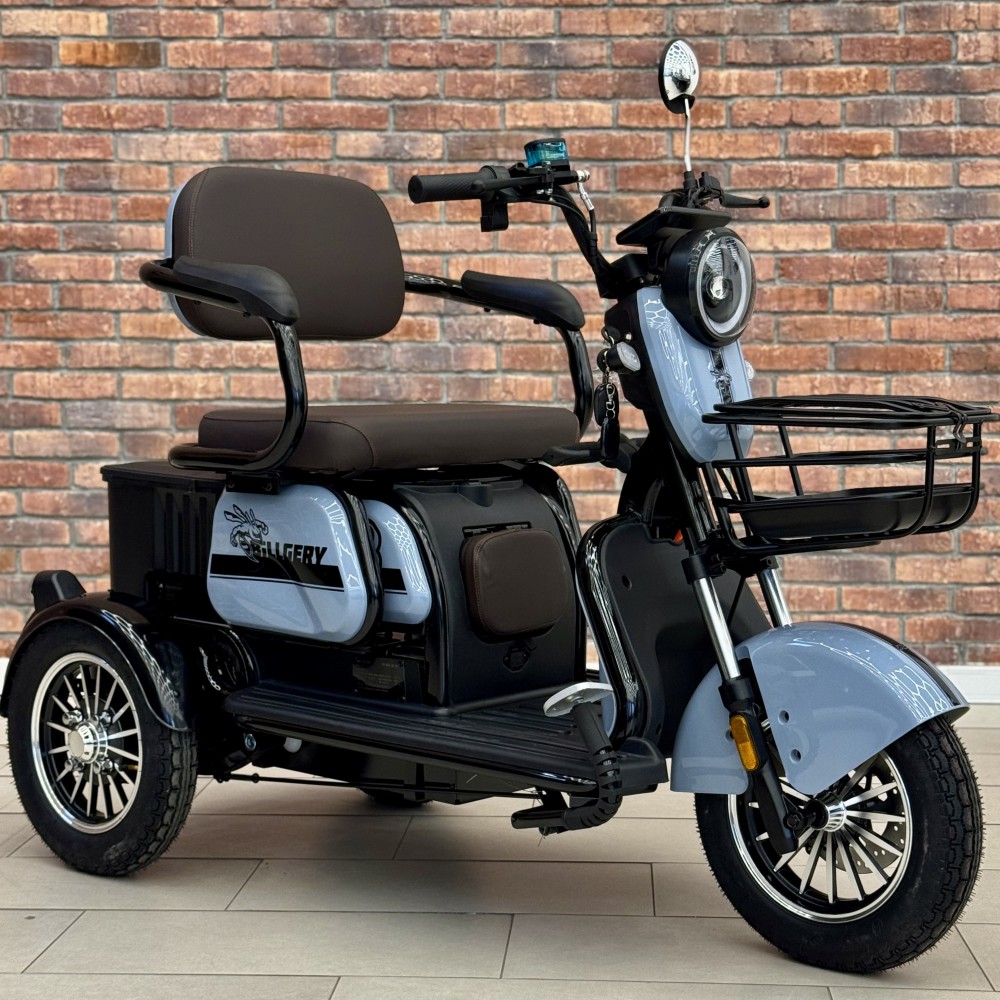Електричний трицикл Billgery B-33689  NEW 2025 - колір Сірий
