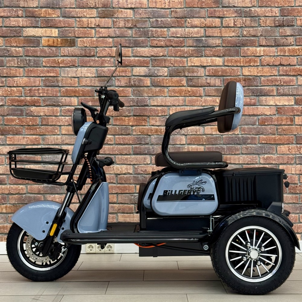 Електричний трицикл Billgery B-33689  NEW 2025 - колір Сірий