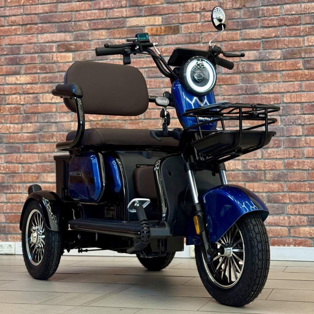 Електричний трицикл Billgery B-22810 NEW 2025 - колір Синій