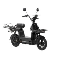 Електровелосипед Corso Rider RG-209074, 800W, 60V/20Ah, (40 км/год), педальний привід, LED дисплей, кошик