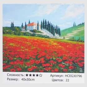 Картини за номерами HCEG 30796 (30)  "TK Group", "Макове поле", 40*30см, в коробці