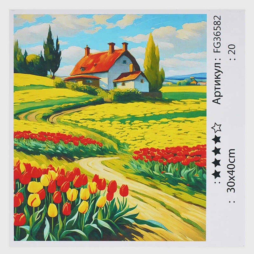 гр Картина за номерами FG 36582 (30) 