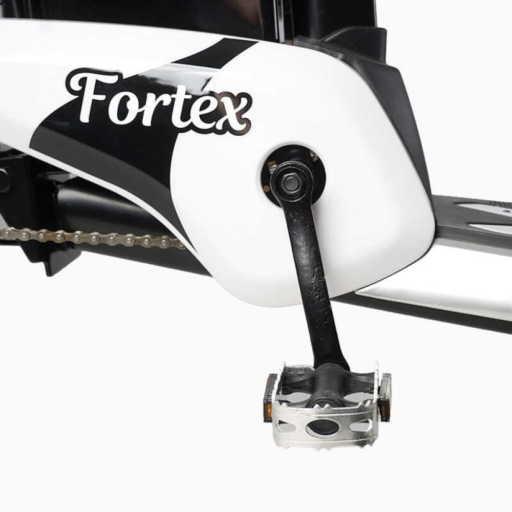 Електровелосипед Corso «Fortex» 20" FR-9523-4 з двигуном 500W та акумулятором 48V/20Ah