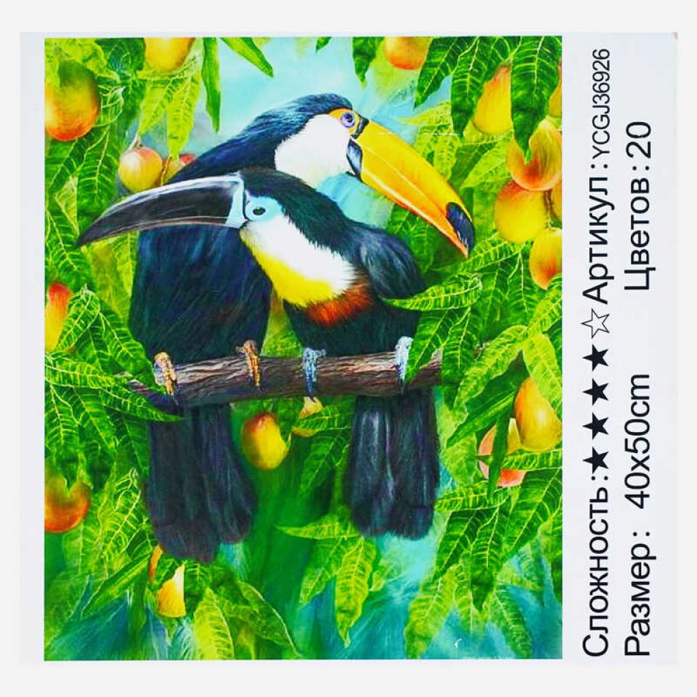 Картина за номерами YCGJ 36926 (30) 