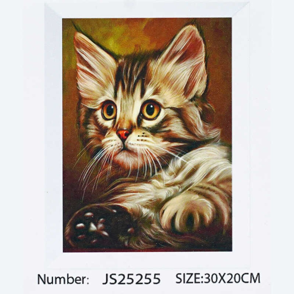 Алмазна мозаїка JS 25255 (50) 