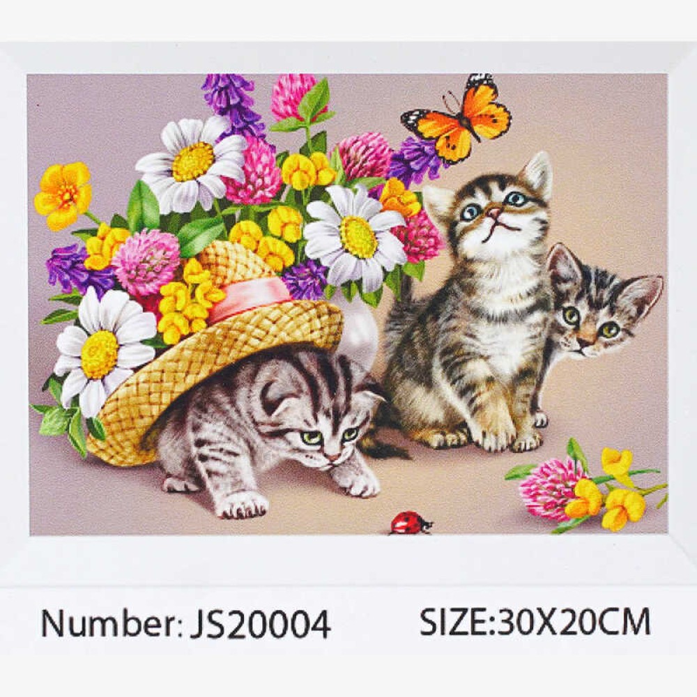 Алмазна мозаїка JS 20004 (50) 