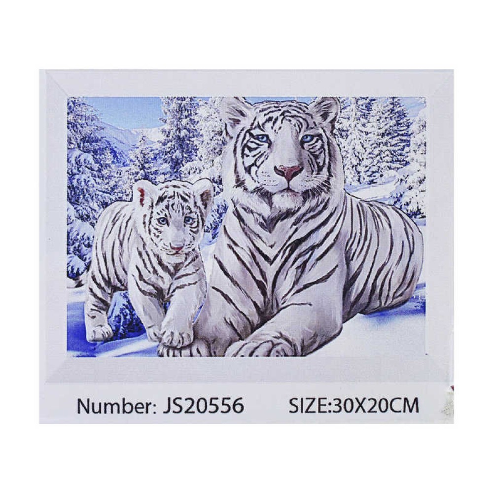 Алмазна мозаїка JS 20556 (50) 