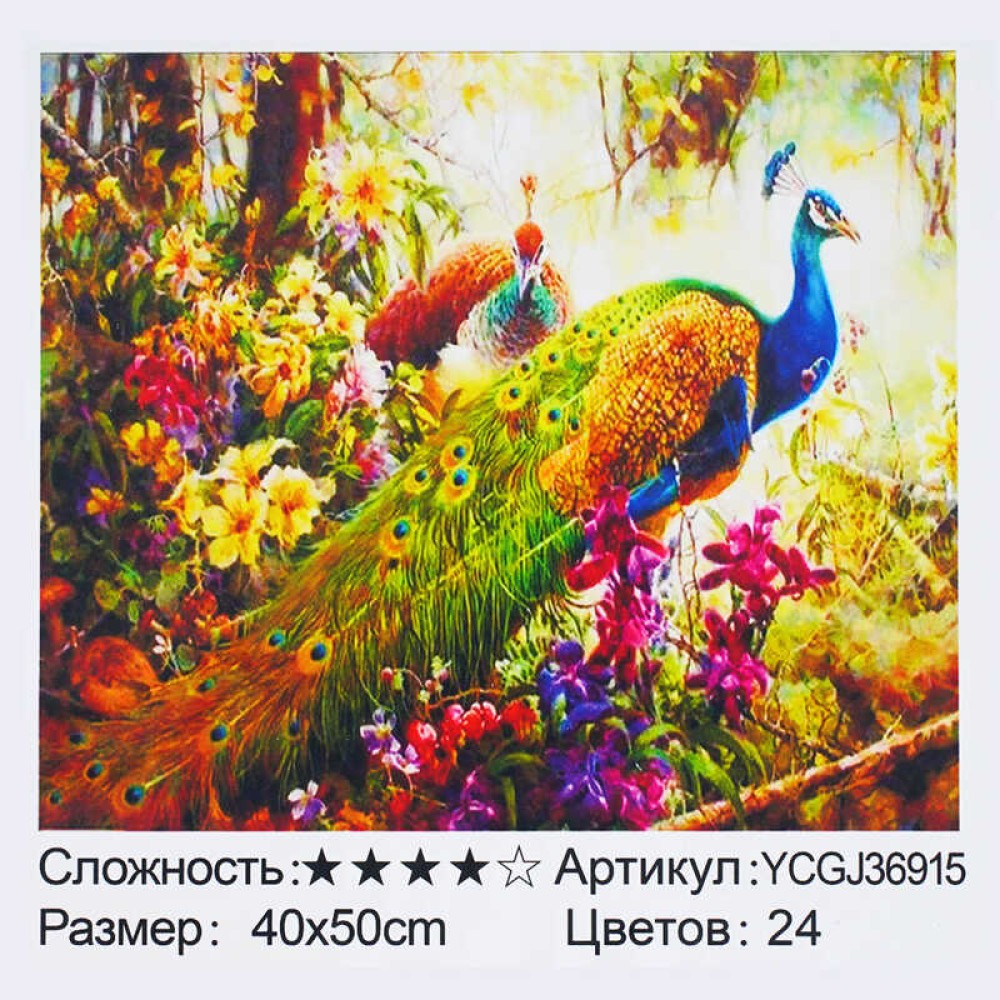 Картина за номерами YCGJ 36915 (30) 