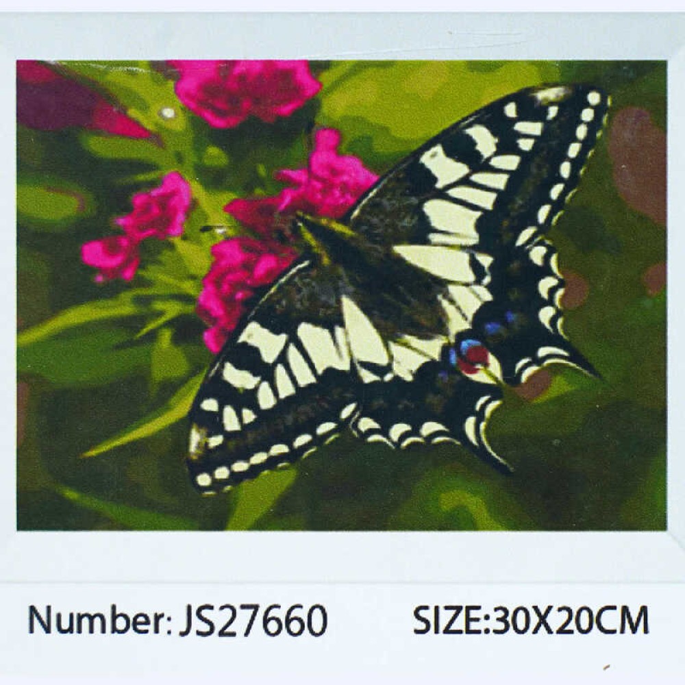 Алмазна мозаїка JS 27660 (50) 