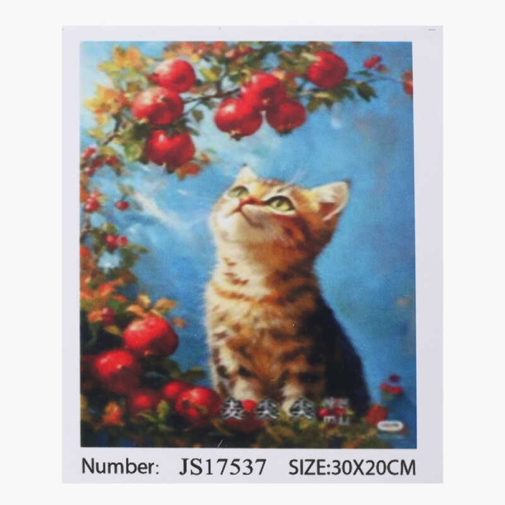 Алмазна мозаїка JS 17537 (50) 