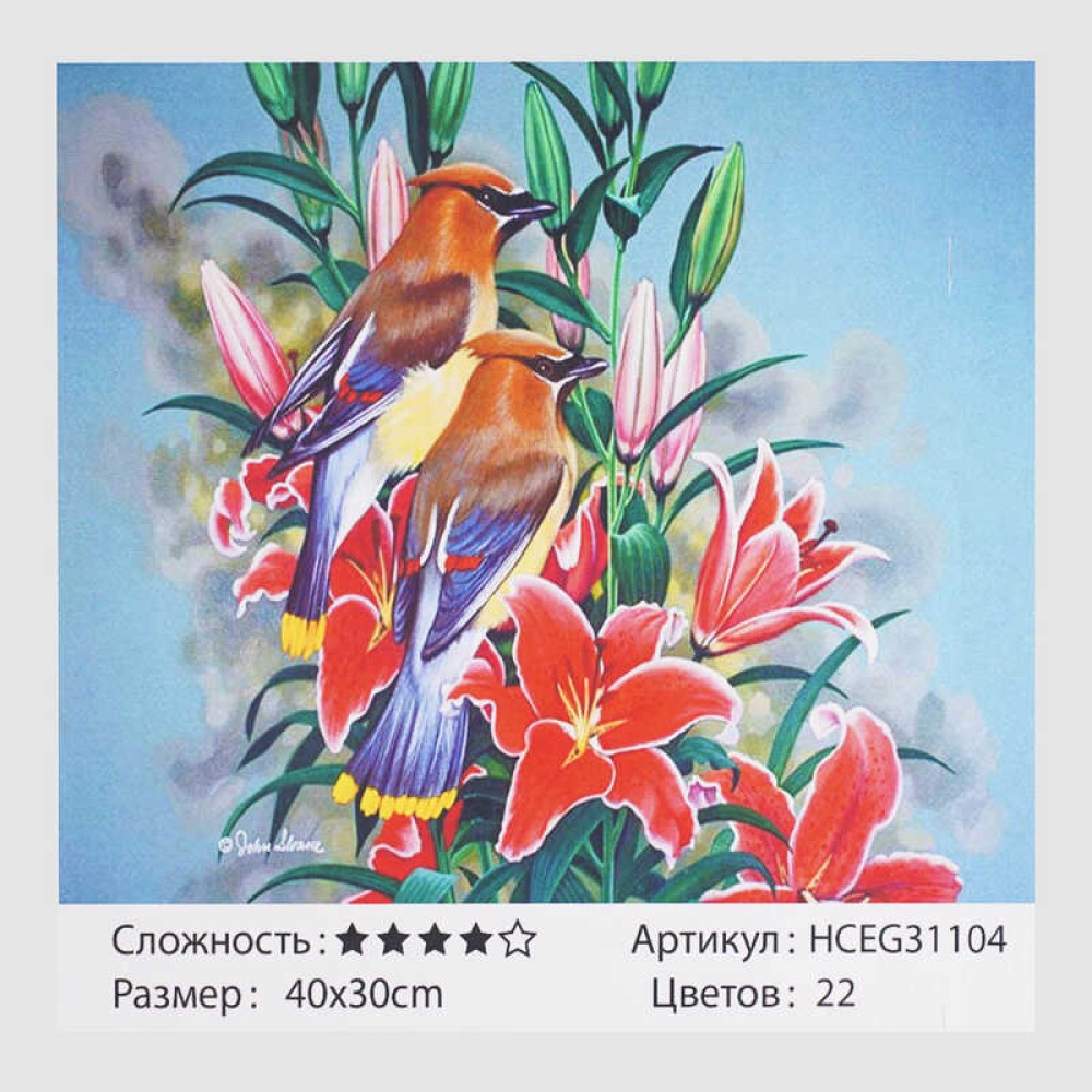 Картини за номерами HCEG 31104 (30) 