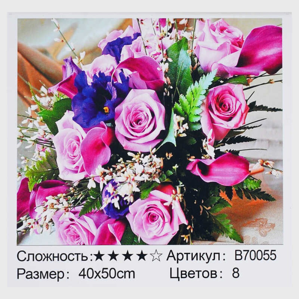 Картина за номерами + Алмазна мозаїка B 70055 (30) 