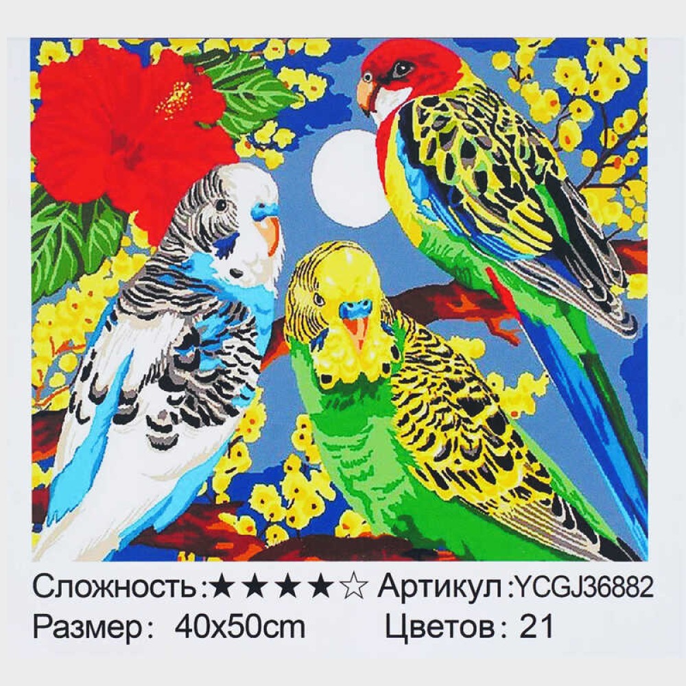 Картина за номерами YCGJ 36882 (30) 