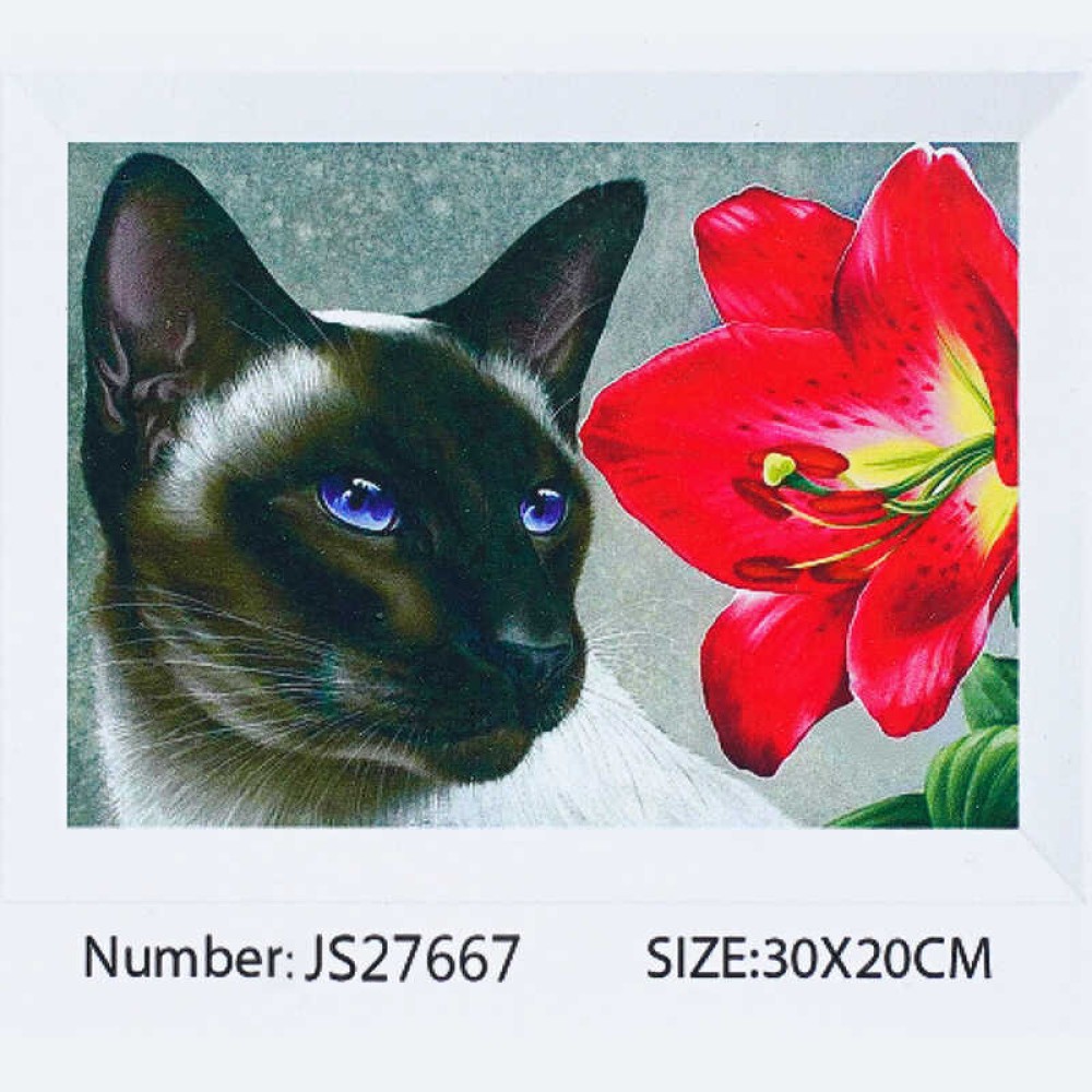 Алмазна мозаїка JS 27667 (50) 