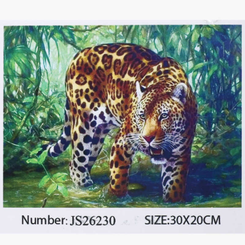 Алмазна мозаїка JS 26230 (50) 