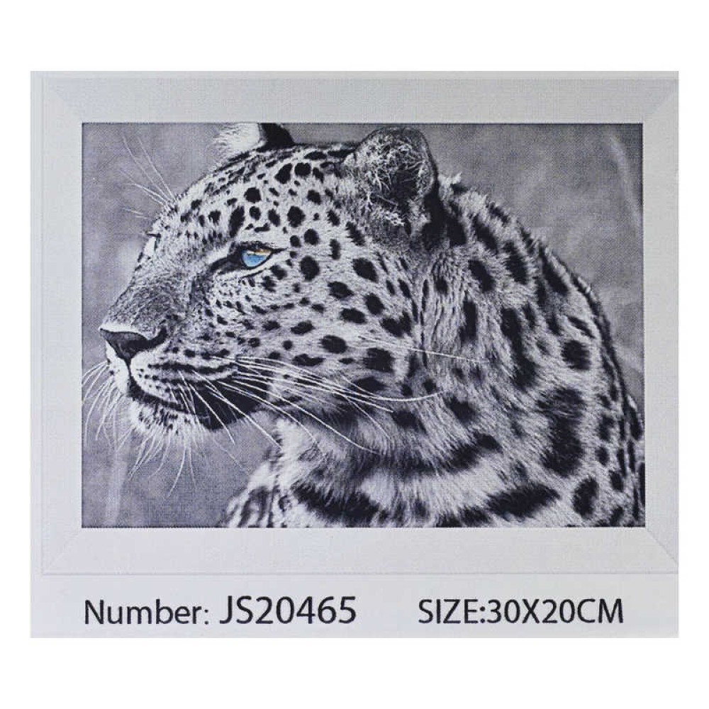 Алмазна мозаїка JS 20465 (50) 