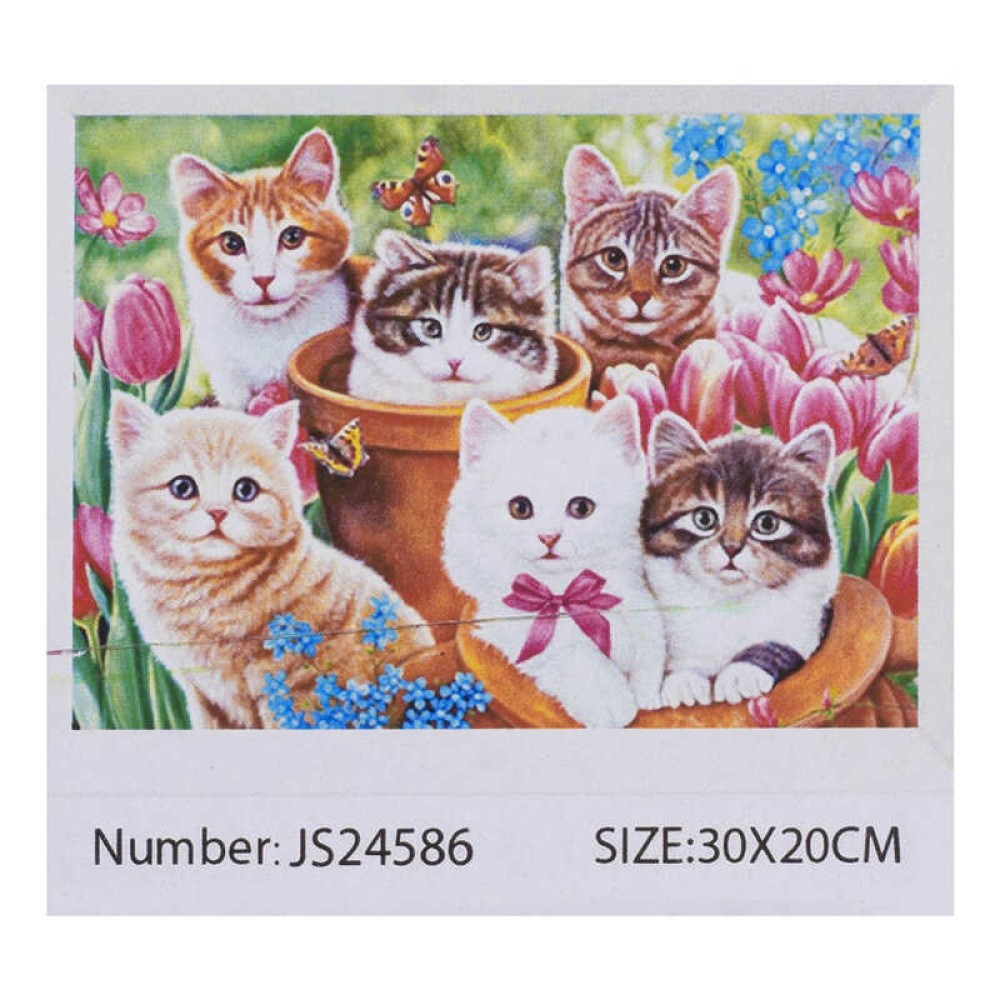 Алмазна мозаїка JS 24586 (50) 
