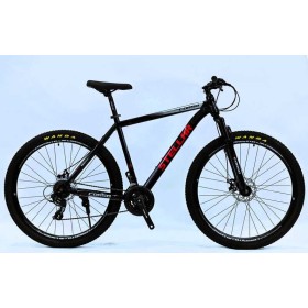Велоcипед Спортивний Corso Stellar 29" дюймів TL-29314