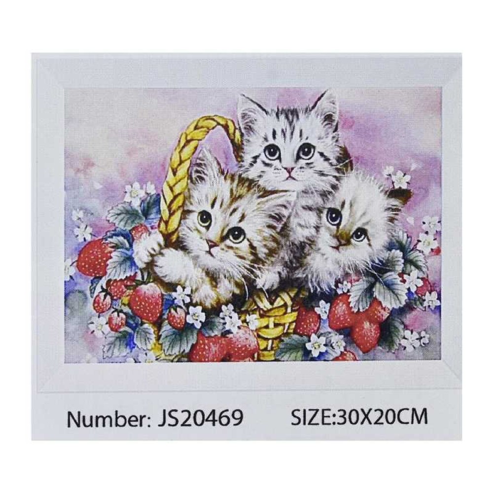 Алмазна мозаїка JS 20469 (50) 
