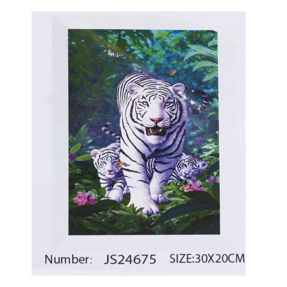 Алмазна мозаїка JS 24675 (50) 