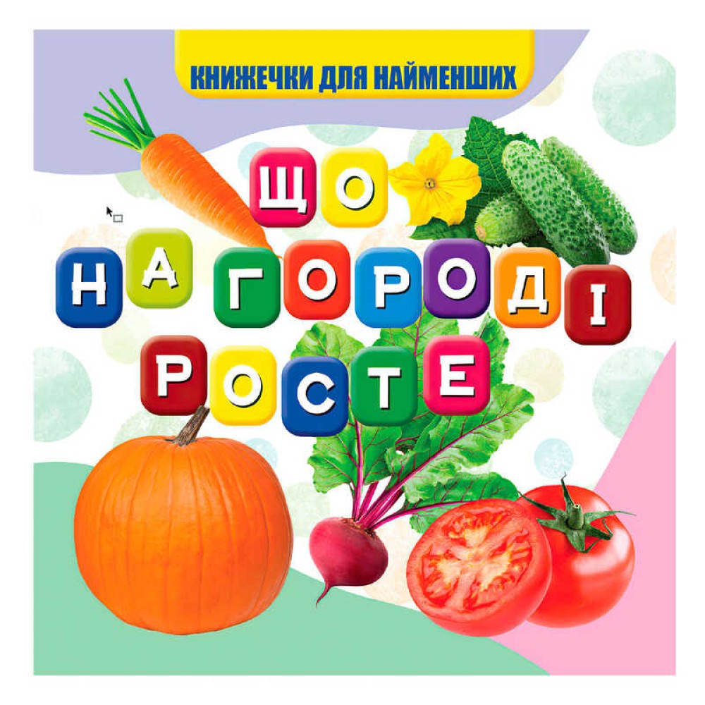 гр Моя перша книжка 