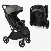 Візок прогулянковий дитячий JOY Willow WL-65510 рама алюмінієва, футкавер, підсклянник, телескопічна ручка, в коробці